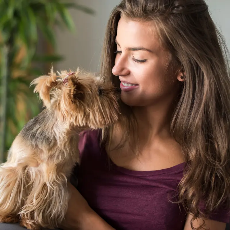 Dog and owner